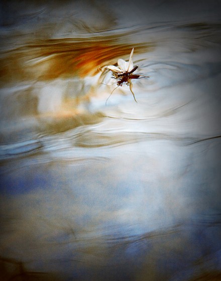 Photography: Portfolio